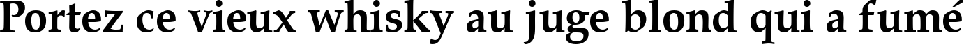 Пример написания шрифтом Palladius Bold текста на французском Пример написания шрифтом Palladius Bold текста на французском