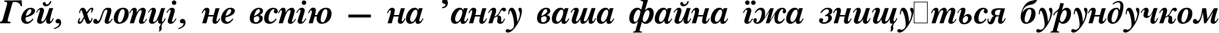 Пример написания шрифтом Pasma Bold Italic:001.001 текста на украинском