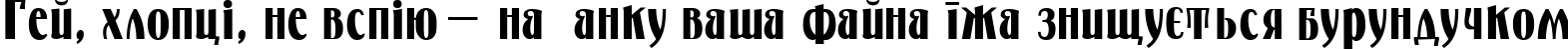 Пример написания шрифтом Petrarka текста на украинском
