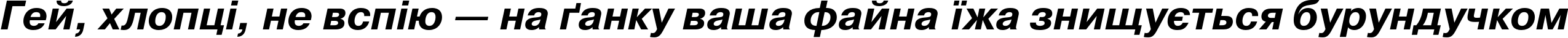 Пример написания шрифтом PragmaticaC Bold Italic текста на украинском Пример написания шрифтом PragmaticaC Bold Italic текста на украинском