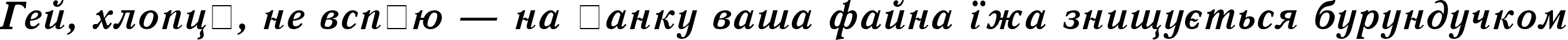 Пример написания шрифтом QuantAntiqua Bold Italic текста на украинском