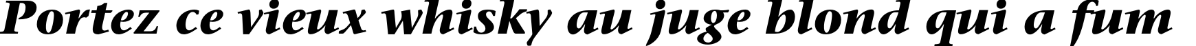 Пример написания шрифтом SonetSerif-Bold-Italic текста на французском
