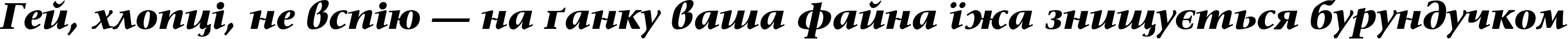 Пример написания шрифтом SonetSerif-Bold-Italic текста на украинском