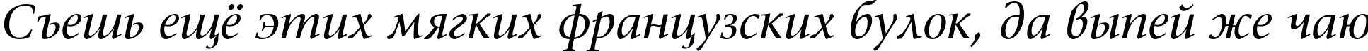 Пример написания шрифтом SonetSerif Italic текста на русском Пример написания шрифтом SonetSerif Italic текста на русском