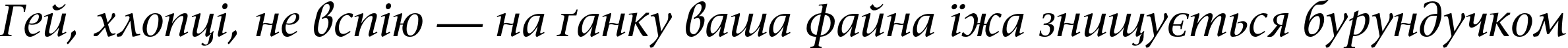Пример написания шрифтом SonetSerif Italic текста на украинском Пример написания шрифтом SonetSerif Italic текста на украинском