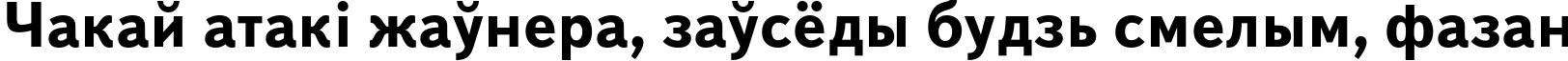 Пример написания шрифтом TextBookC Bold текста на белорусском Пример написания шрифтом TextBookC Bold текста на белорусском
