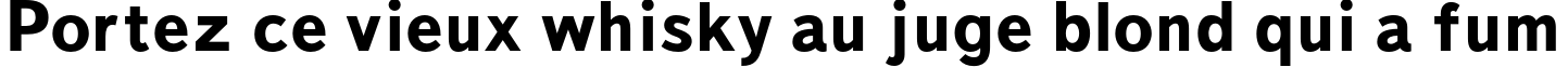 Пример написания шрифтом TextBookC Bold текста на французском Пример написания шрифтом TextBookC Bold текста на французском