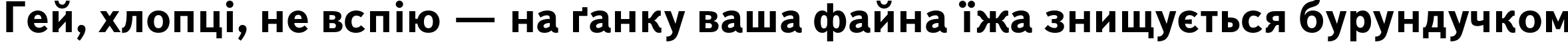 Пример написания шрифтом TextBookC Bold текста на украинском Пример написания шрифтом TextBookC Bold текста на украинском
