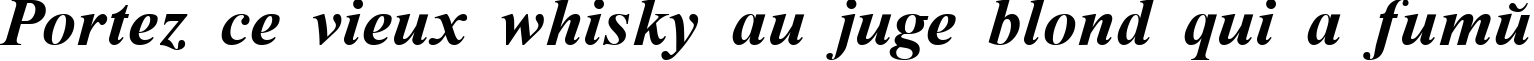 Пример написания шрифтом Time Roman Bold Italic текста на французском