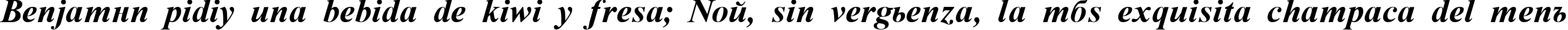Пример написания шрифтом Time Roman Bold Italic текста на испанском