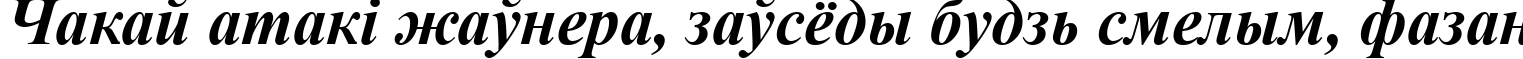 Пример написания шрифтом Times New Roman Bold Italic текста на белорусском