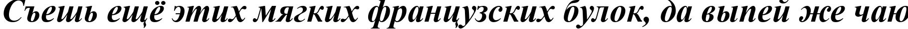 Пример написания шрифтом Times New Roman Bold Italic текста на русском