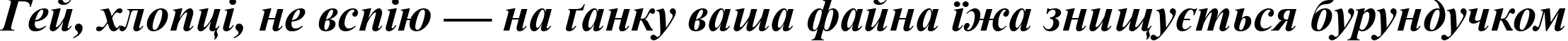 Пример написания шрифтом Times New Roman Bold Italic текста на украинском