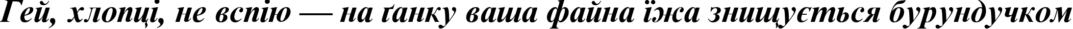 Пример написания шрифтом Times New Roman Cyr Bold Italic текста на украинском Пример написания шрифтом Times New Roman Cyr Bold Italic текста на украинском