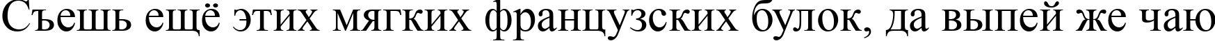 Пример написания шрифтом Times New Roman текста на русском Пример написания шрифтом Times New Roman текста на русском