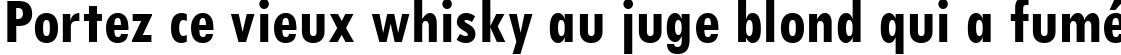 Пример написания шрифтом Tw Cen MT Condensed Bold текста на французском Пример написания шрифтом Tw Cen MT Condensed Bold текста на французском