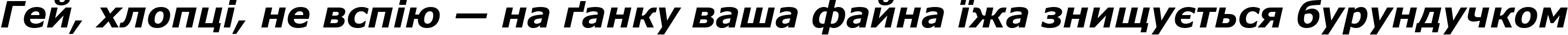 Пример написания шрифтом Verdana Bold Italic текста на украинском Пример написания шрифтом Verdana Bold Italic текста на украинском