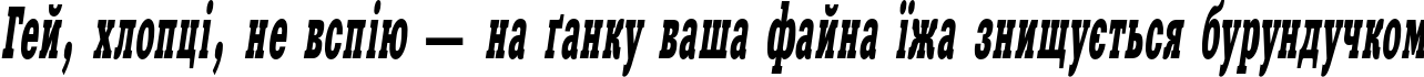 Пример написания шрифтом XeniaWesternC Italic текста на украинском Пример написания шрифтом XeniaWesternC Italic текста на украинском