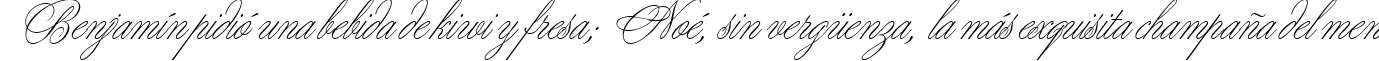Пример написания шрифтом Young Love ES текста на испанском
